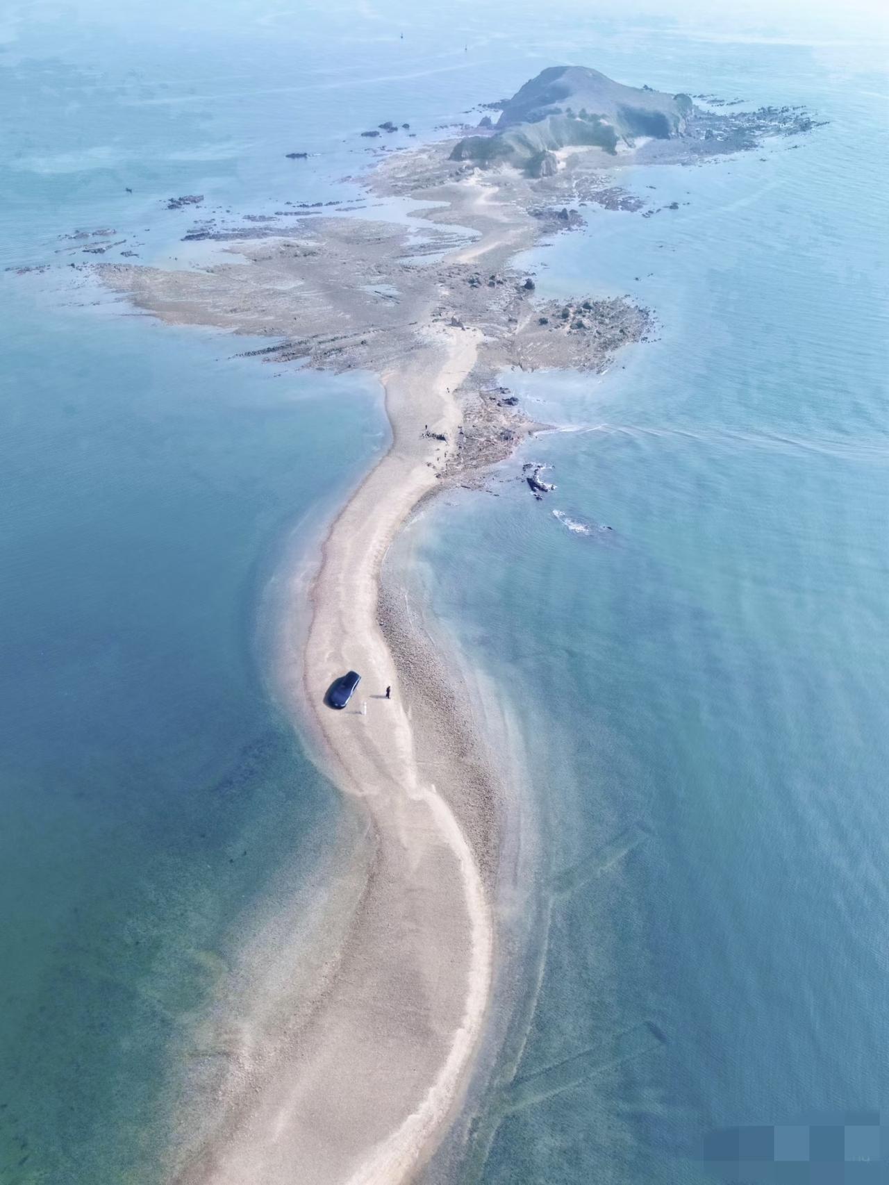 其实这里是AI中青岛？[捂脸哭]