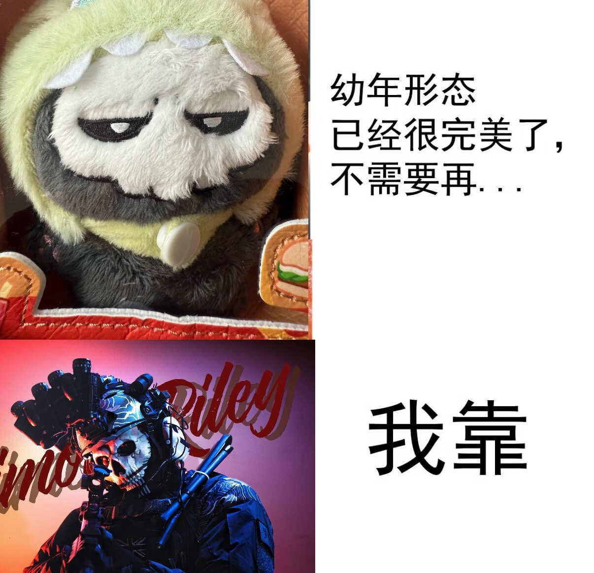 一则梗图，右滑参考文献cod乙女西蒙莱利ghost乙女cod乙覆面覆