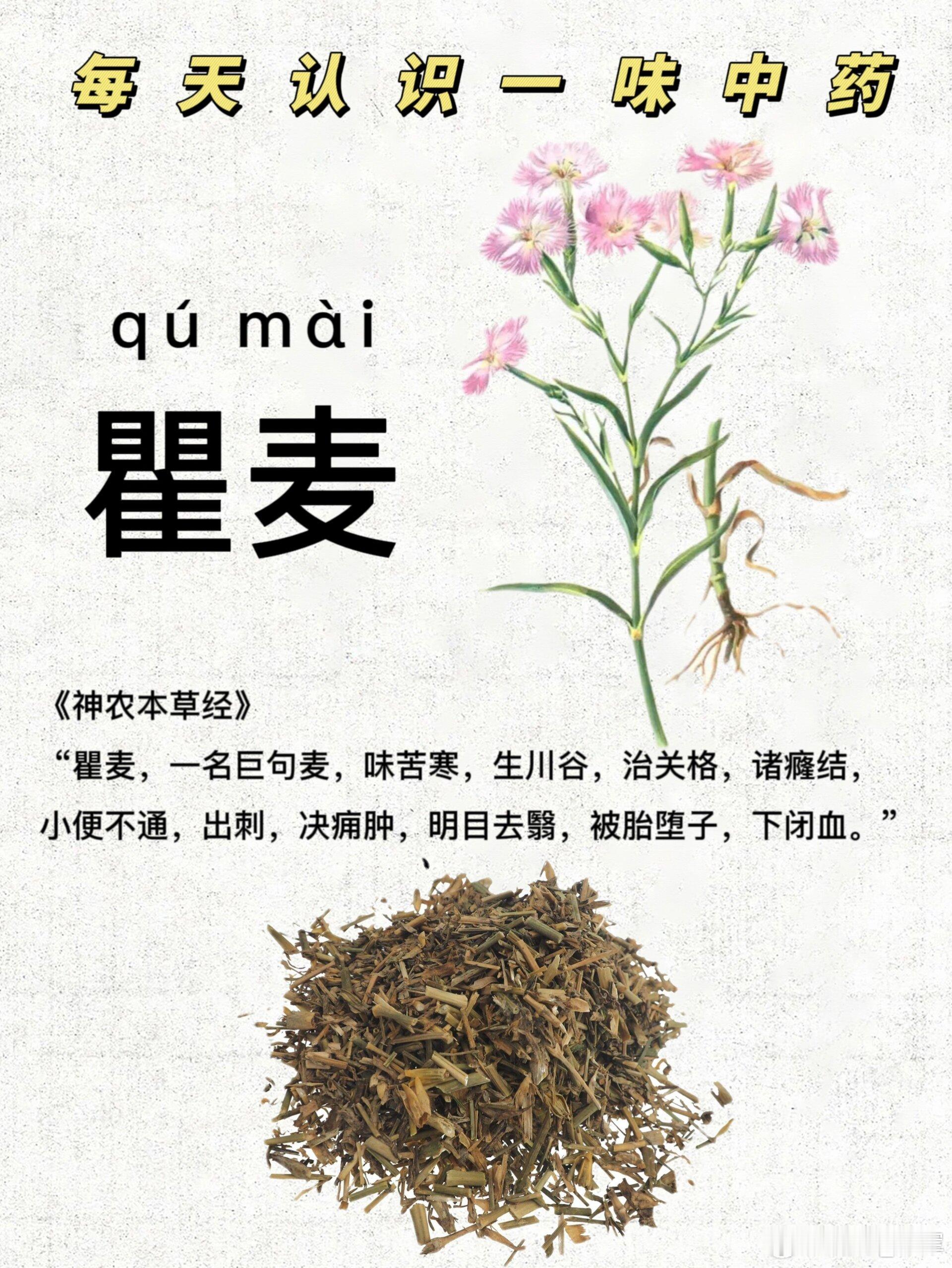 各种囊肿，一味草药熬水喝，效果就一个字：好！（一）各种各样的囊肿们咱身体里可能