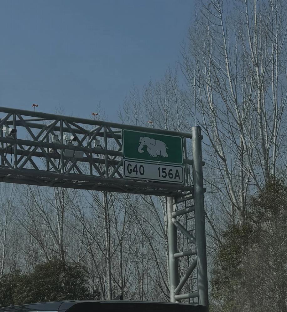 跑河南高速的时候发现路上有好多印着大象的标识牌，萌萌的特别有意思，心里一直好奇这