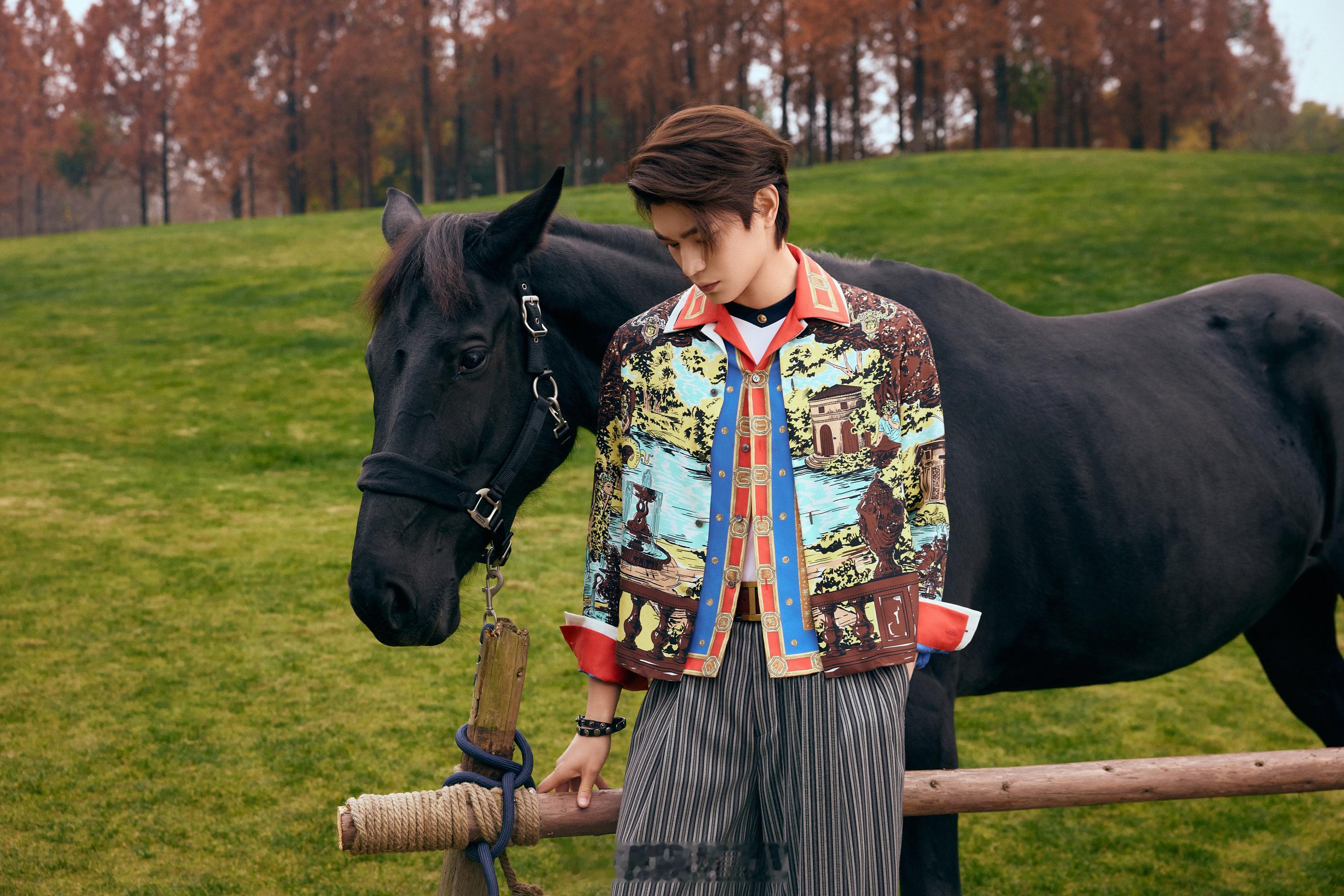 哇哦，丁禹兮元旦营业好用心呀，真正意义上的偕马而来。