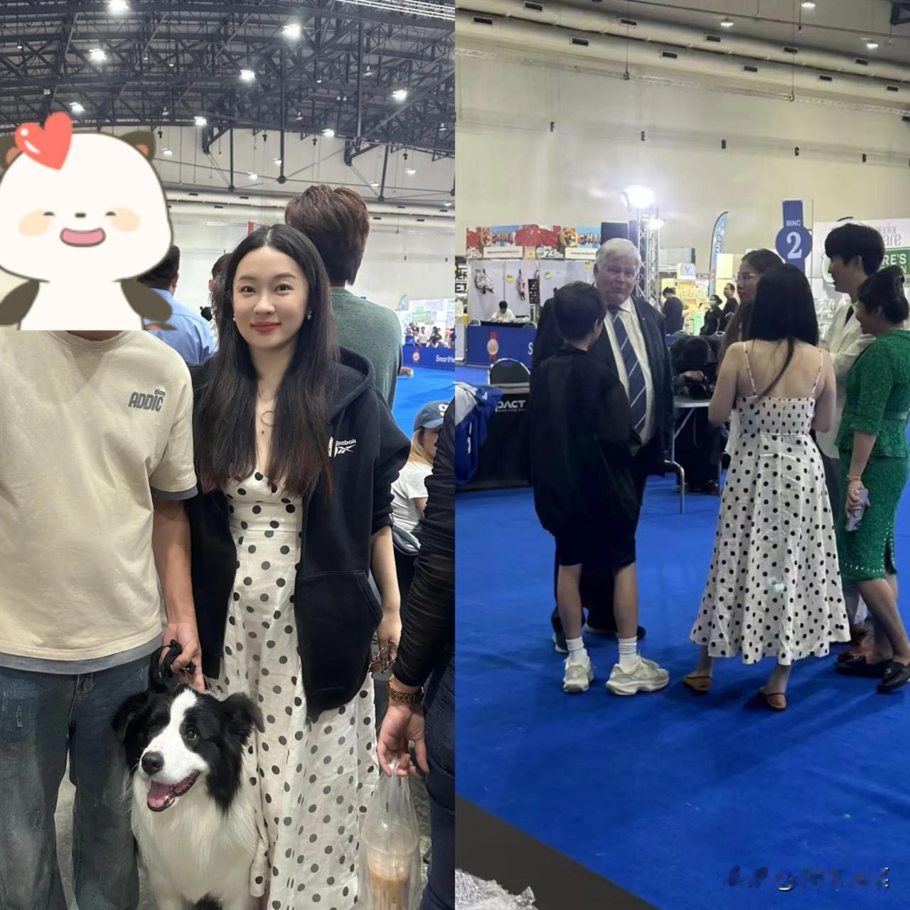 泰国偶遇霍思燕嗯哼母子！网友透露，霍思燕和嗯哼看了四天的泰皇杯，母子俩都很喜欢狗