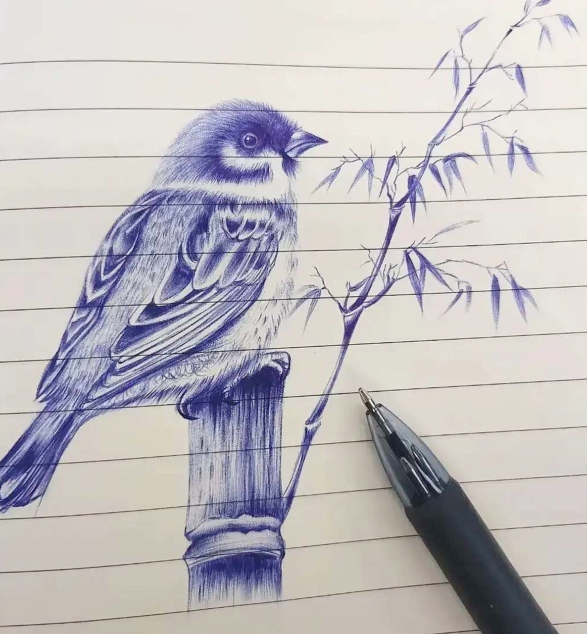 用圆珠笔画的这只麻雀，10分能给几分？[笑着哭][笑着哭]