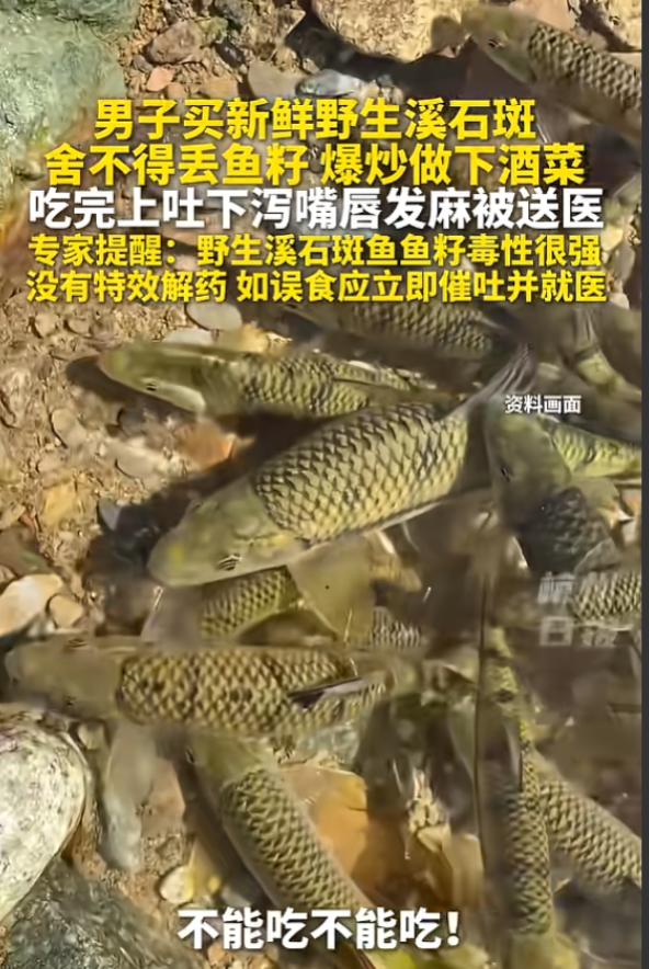 悲剧还是发生了！5月24日报道，浙江杭州，一45岁男子买了野生溪石斑，因