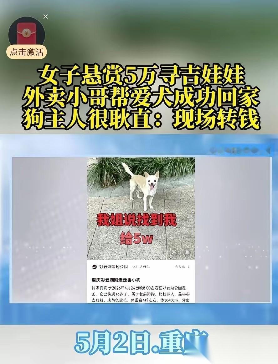 因为一条小狗，又让重庆人的耿直上大分！重庆九龙坡，有一位女子的宠物狗走丢了