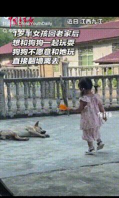 万万没想到！江西九江，一岁半女孩回老家，看见院中熟睡的狗子，就跑过去想和狗子玩，