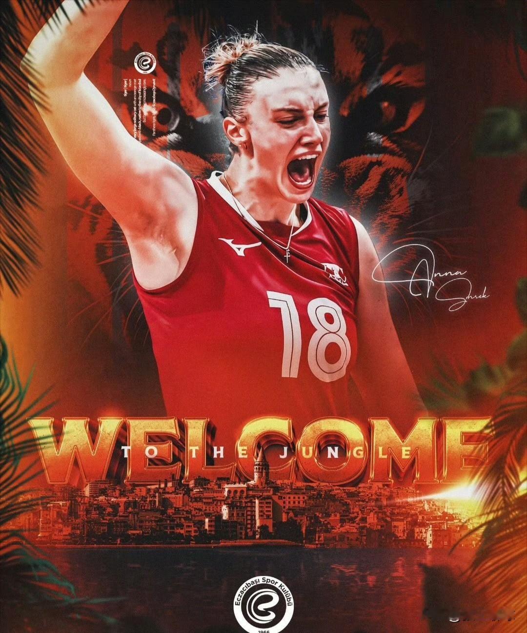 传言，土耳其🇹🇷伊萨奇巴希俱乐部在对接接应，有安娃、哈克等顶级接应，没想到最