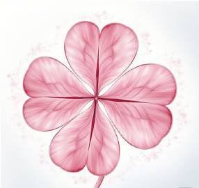 秒赞这棵四叶草，你会收到接二连三的好消息！