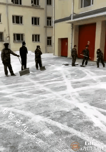 我希望他们永远这么闲，这么有趣。