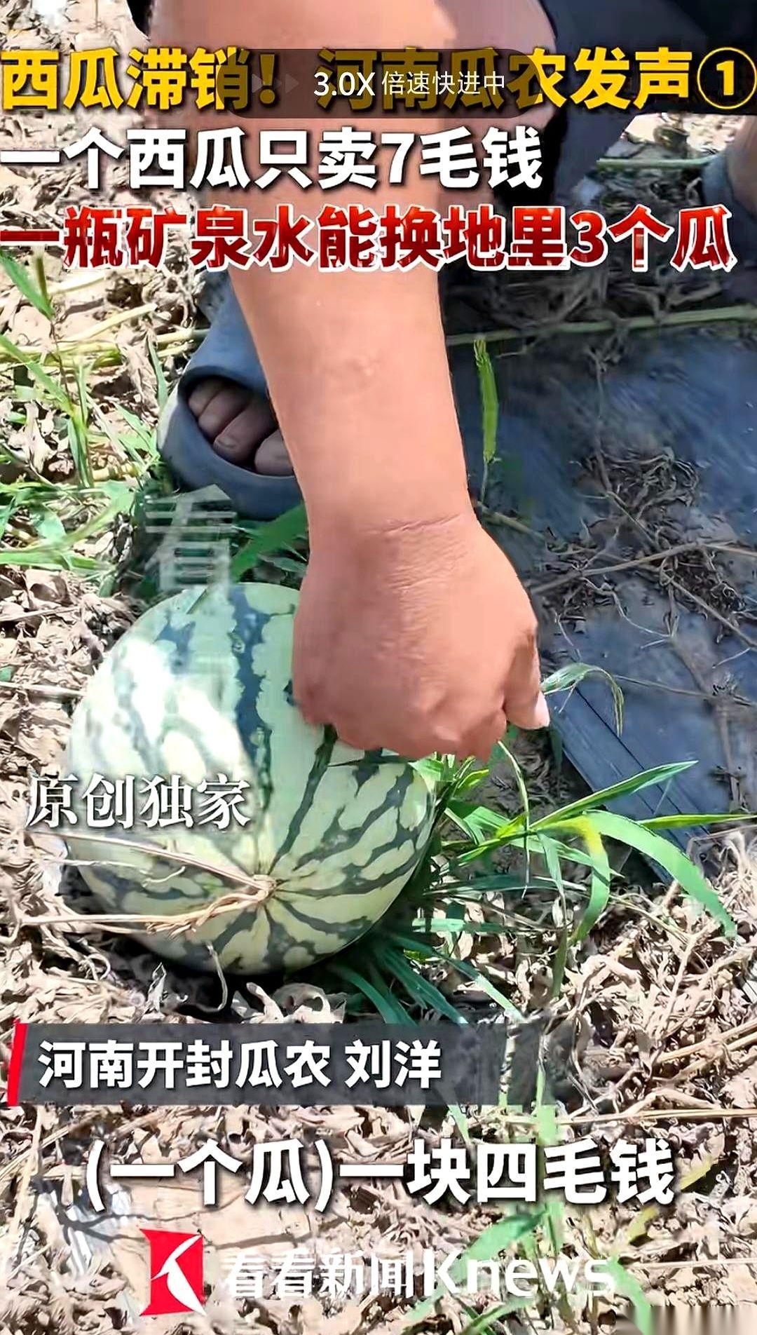 三个大西瓜，加起来快二十斤，你猜换了多少钱？一瓶矿泉水。真的，就一瓶两块钱的