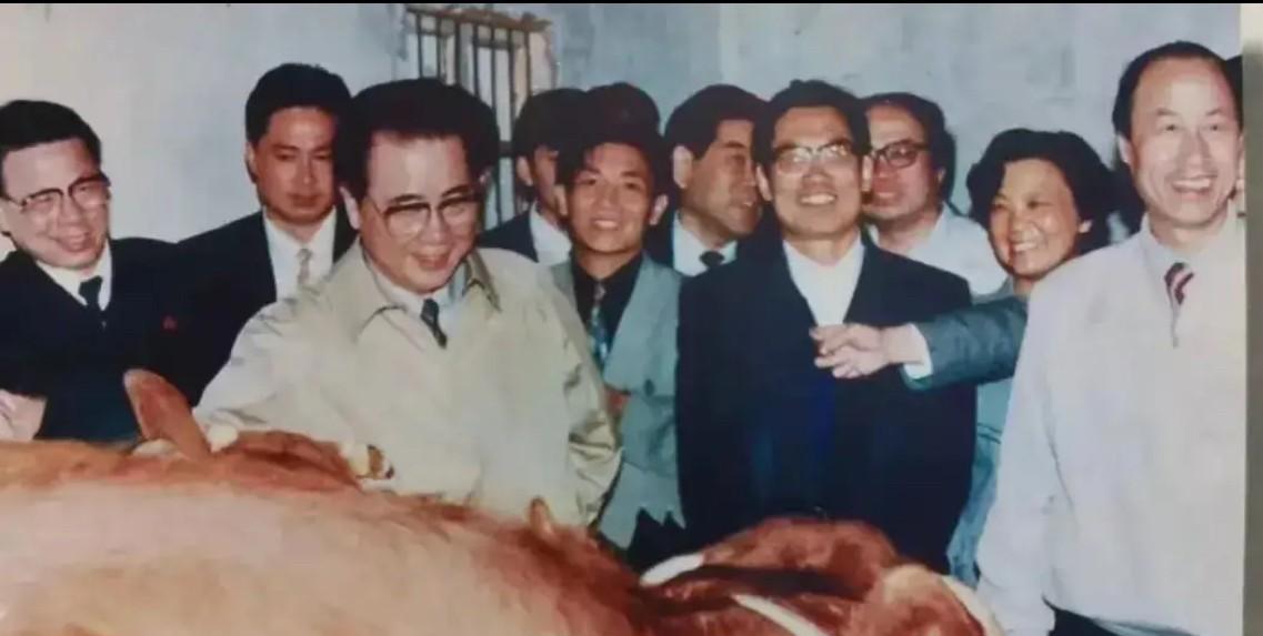 1997年，时任国务院总理李鹏赴安徽省阜阳市考察黄牛养殖业的老照片。自上世纪80