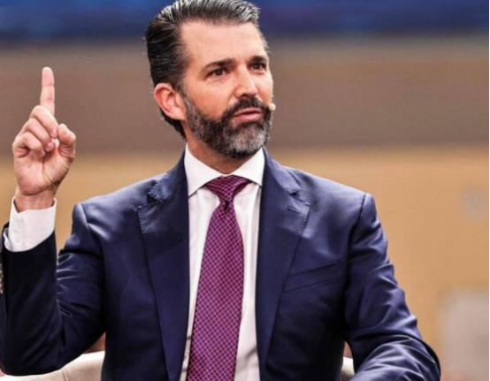 特朗普儿子宣布了一个重大发现。美国总统特朗普长子小唐纳德·特朗普坦言，特朗普可能