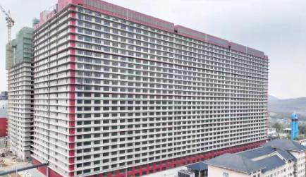 中国猪价为什么这么低，其实就是猪企竞争激烈，让农家饲养，变成规模化的大型养殖企业