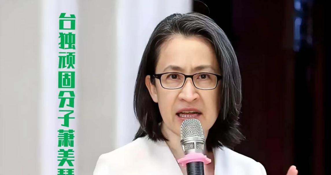 必须对萧美琴进行全球通缉。说白了，现在“台独分子”越来越嚣张了，在面对大陆的