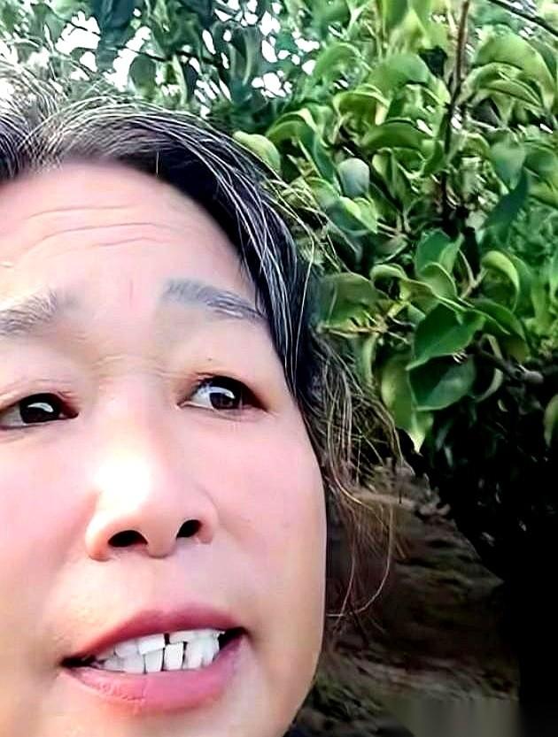 全村都把宝押在一个叫“厉怀远”的大网红身上，就一个婶子，偏不。大网红的货车一开