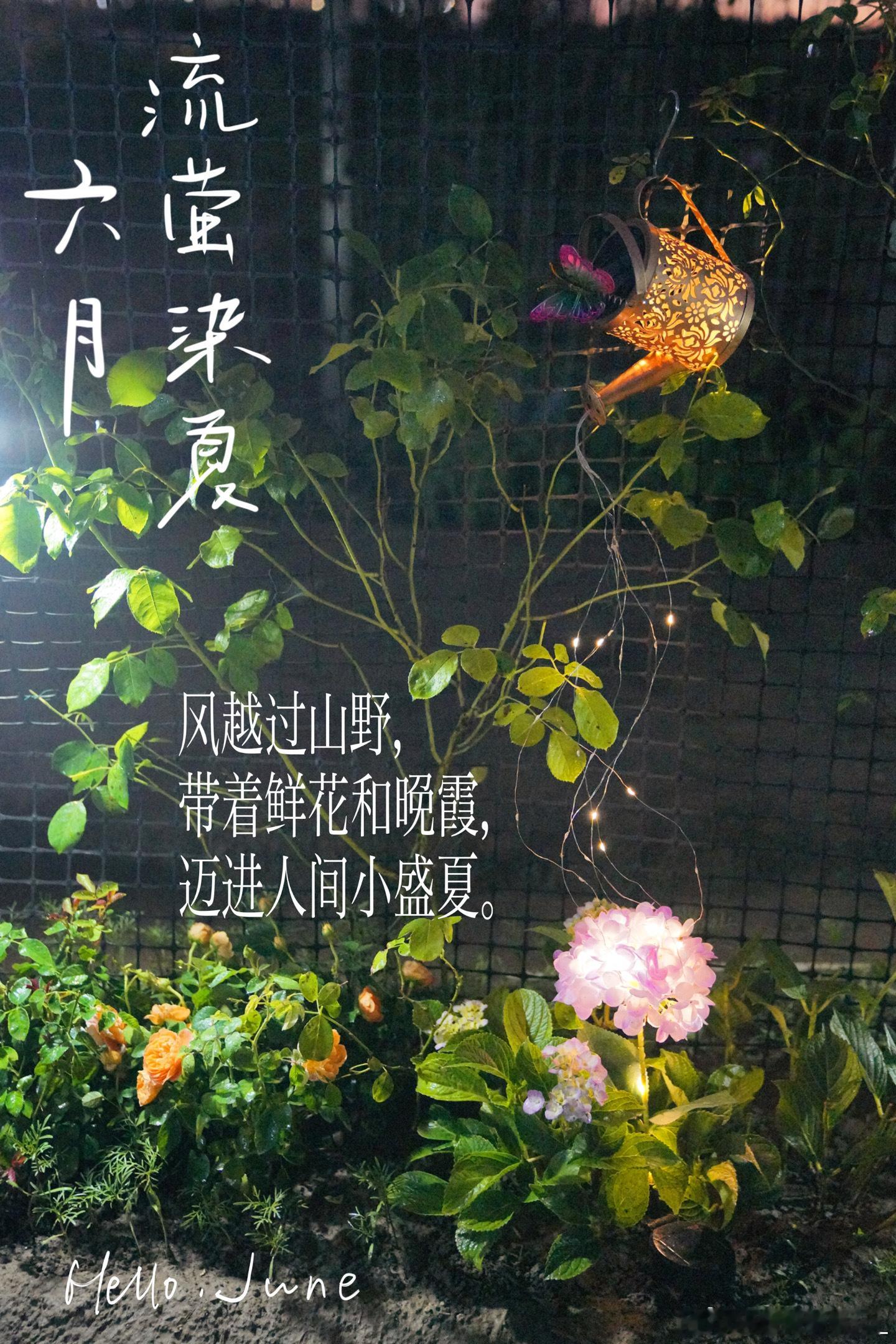 前两天被冰雹砸坏了好多叶子🍃还好果实还在~莴笋可以吃了，明儿拔了种甜瓜