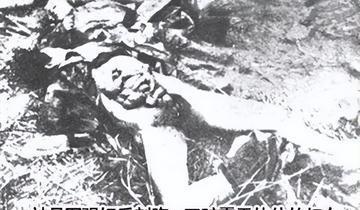 1937年河北，一个日本军官无意间发现了一只黄鼠狼，他并没有想就此放