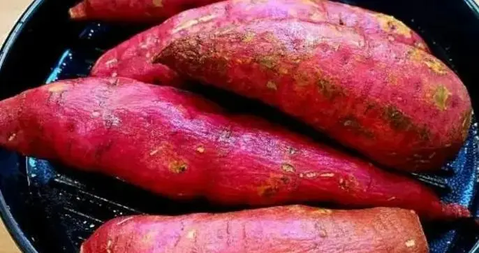 毒红薯流窜20省! 种植户自己都不敢吃, 你的餐桌还安全吗?