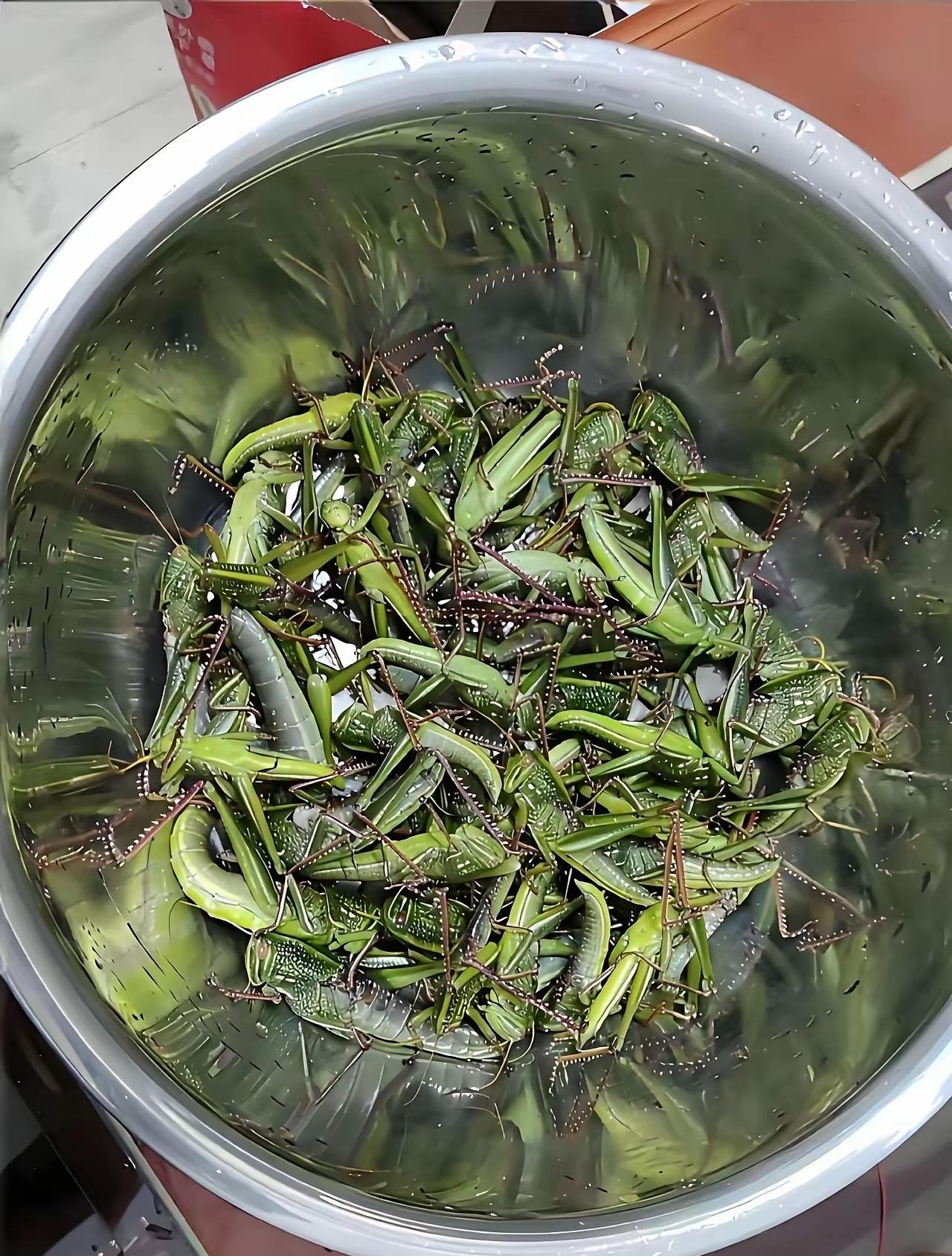 妈呀，真的那么好吃吗？我看到反正是咽不下去呀！[捂脸哭][捂脸哭][捂脸哭]