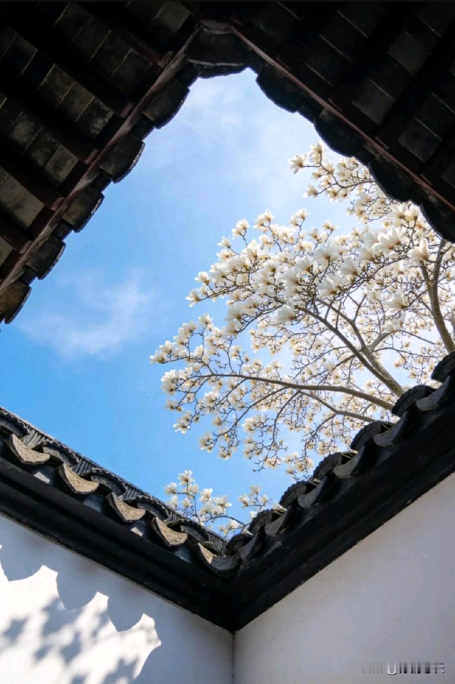 退休老教师说：他直到现在始终想不明白，能把书读好的人，同龄人占比最多3~5%，为