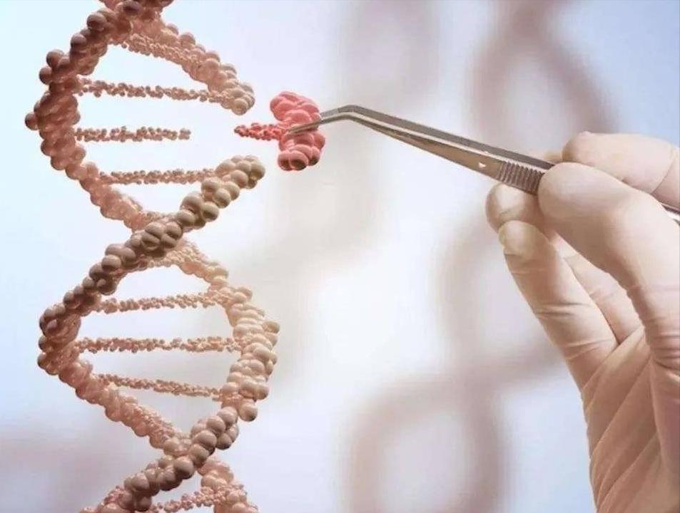 582万换来的只是一场悲剧！仅患认知发育迟缓的6岁女孩，基因编辑治疗后，短短7天