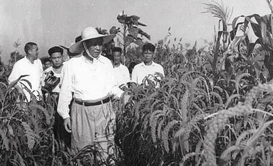 1959年，秘书告诉毛主席，有人偷东西，不料毛主席却说：别出声！新中国成立后，