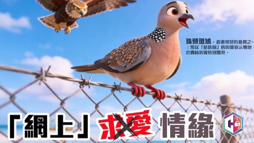 一名39岁的香港本地女子在手机交友软件上结识了一名男子，对方自称是新能源公司的职