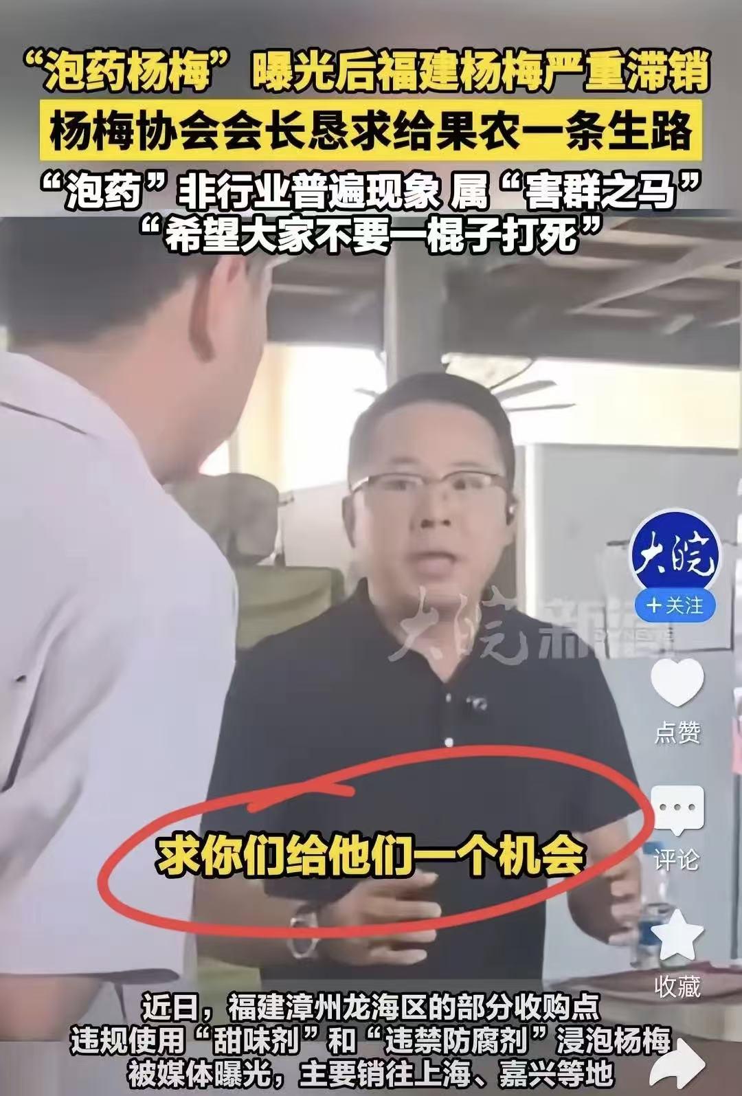 杨梅会长都要哭晕了！好不容易低声下气求大家高抬贵手放一马，两位果农的“陋习”把所