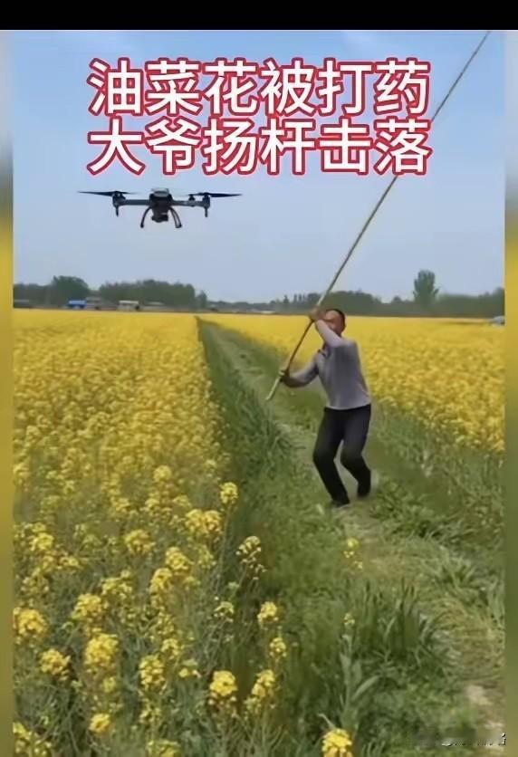 大爷才不​去惯着，抬手就举起长杆，直接击落盛花期喷药的无人机。这位种​了一​