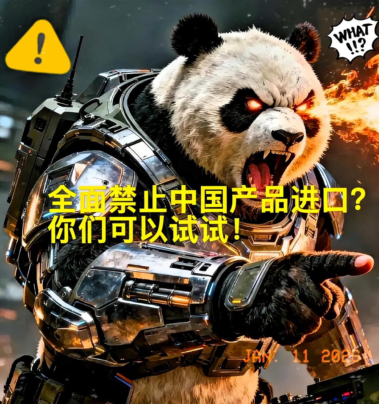 真是愚蠢至极！1月10日，日本极右翼政客在X平台抛出极端言论，呼吁全面禁止所