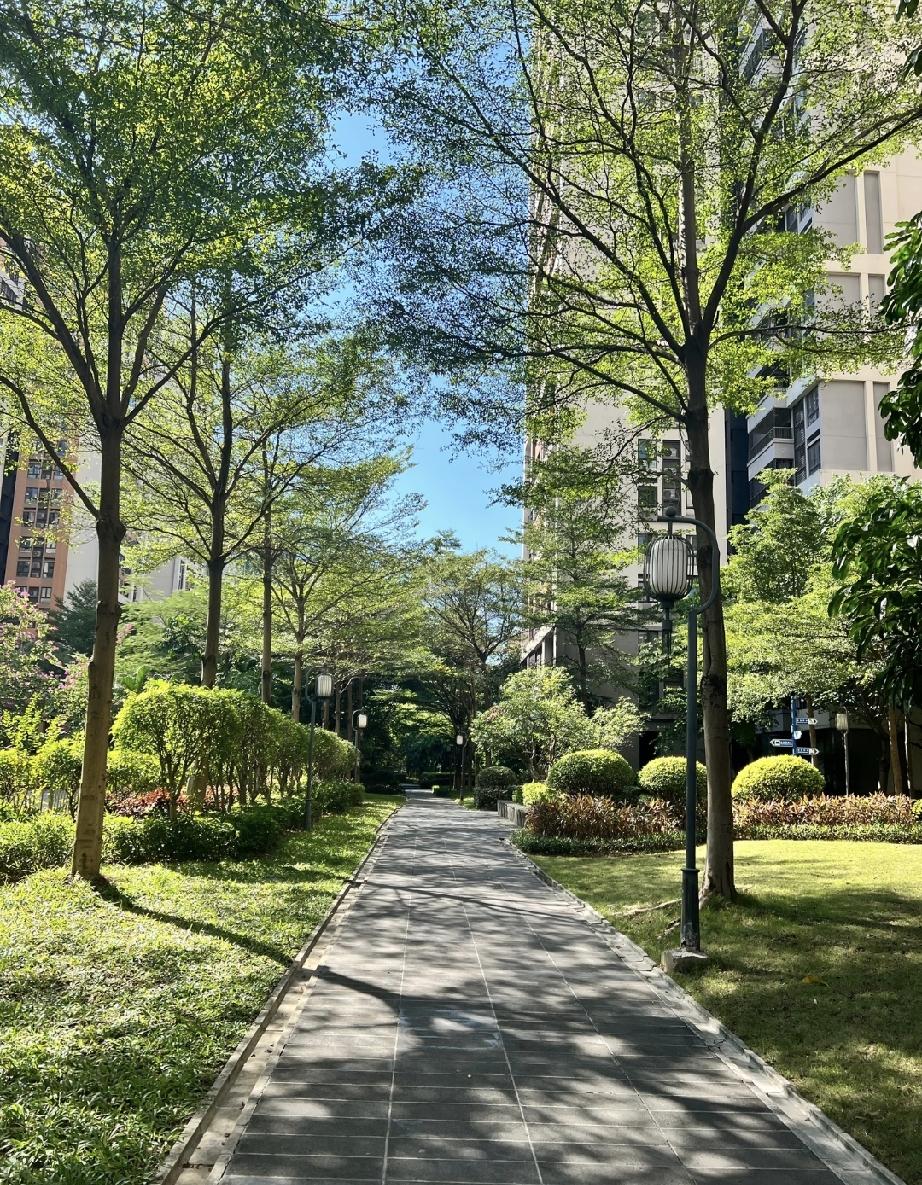 我儿媳来吃饭，从来不空手，但是我却非常反感。因为她带的不是水果，也不是营养品