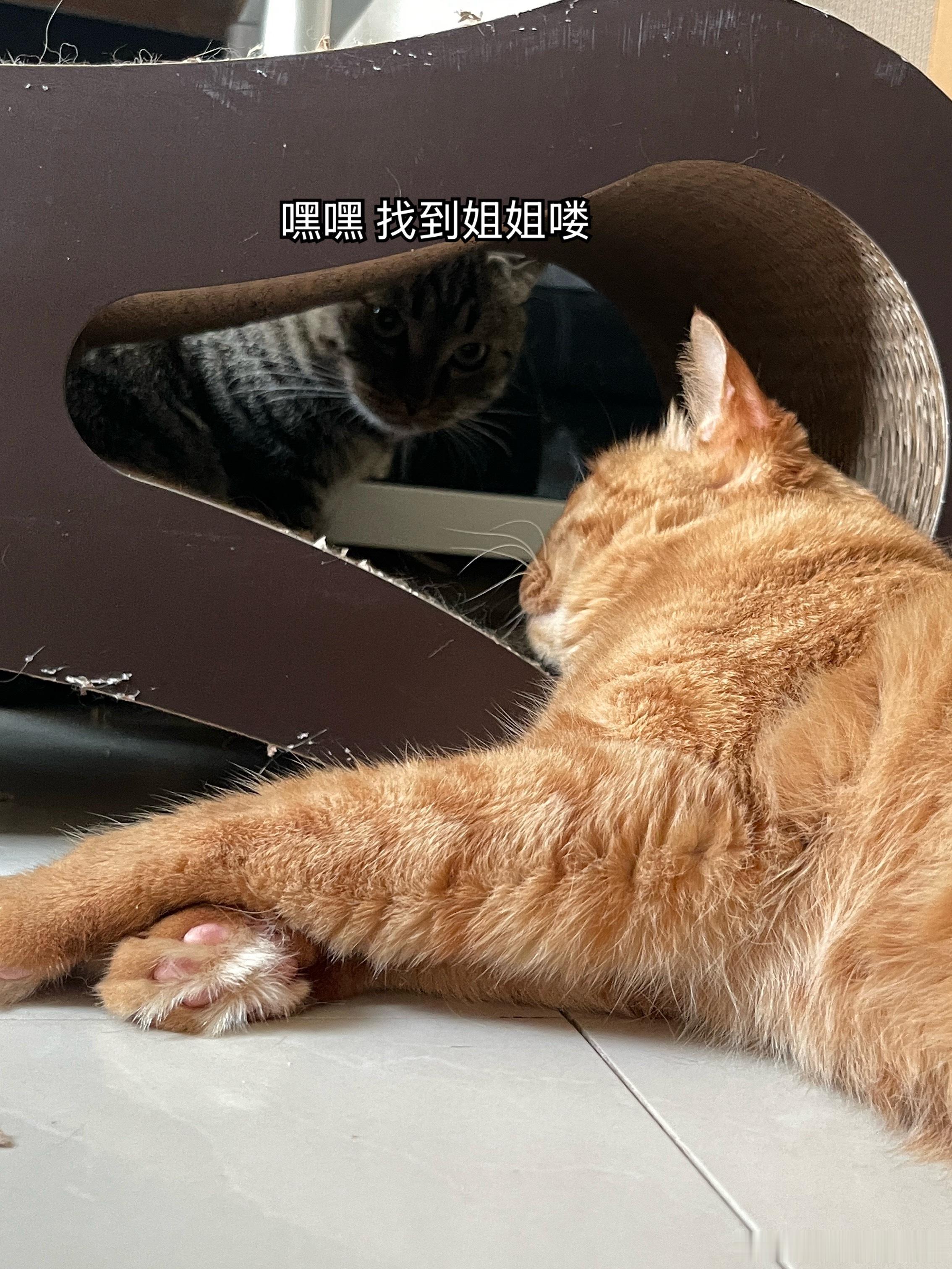 小肉肉你自己说这阴不阴