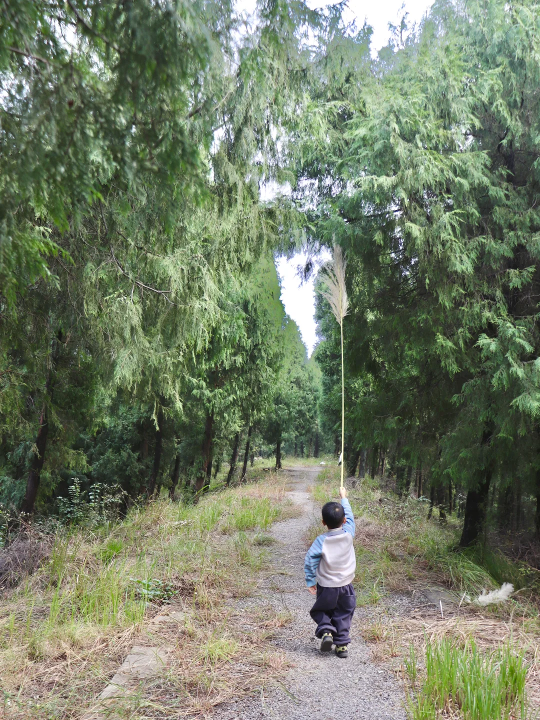 值得二刷的亲子徒步路线，超小众宝藏路线