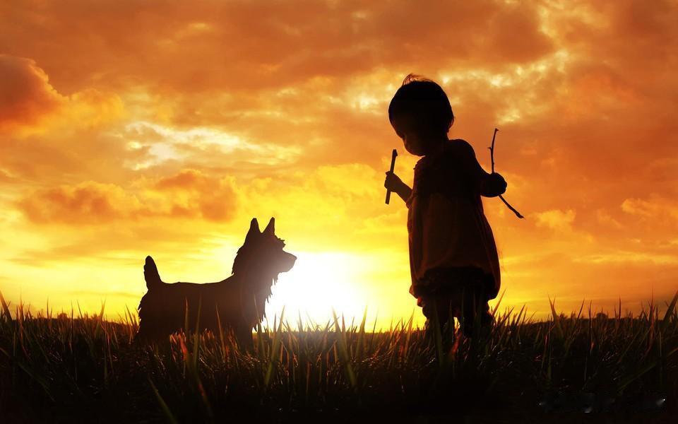 任何人在经历惨痛经历之后才能大彻大悟。近视之后才发现平时没有注意保护眼睛。失