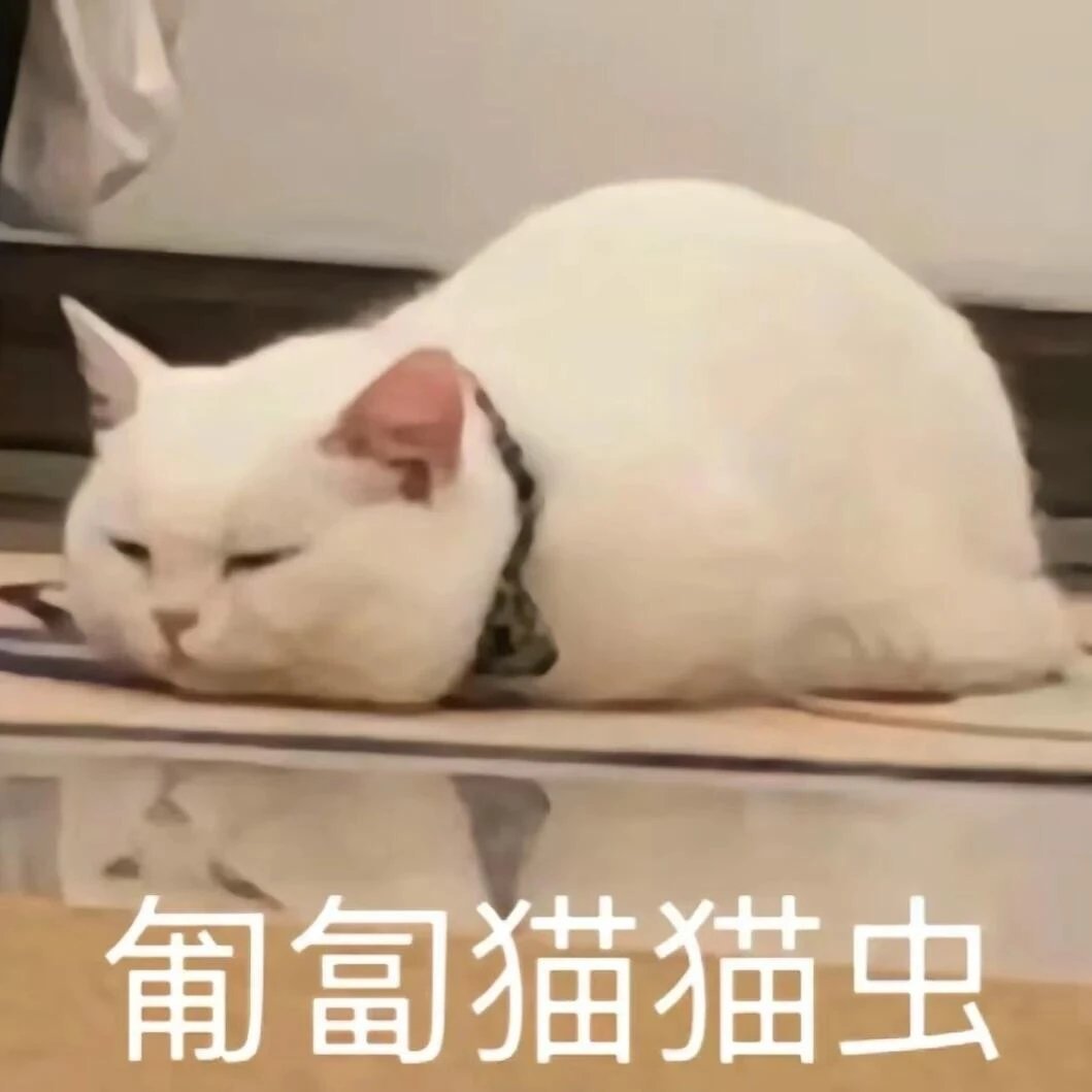 猫猫虫​​​