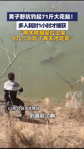 “能吹一辈子！”河北邢台一男子去野坑钓鱼，钓到了却拉不上来，他猜到是一条大鱼，但