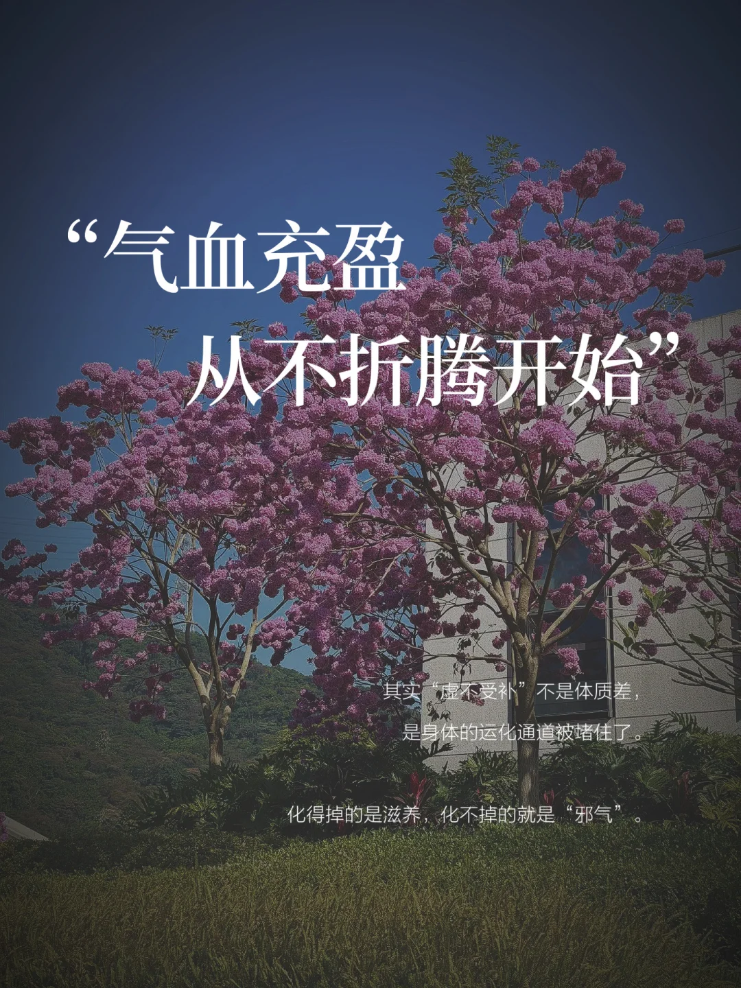 你以为在补气血，其实在“堵”身体，别再乱补了