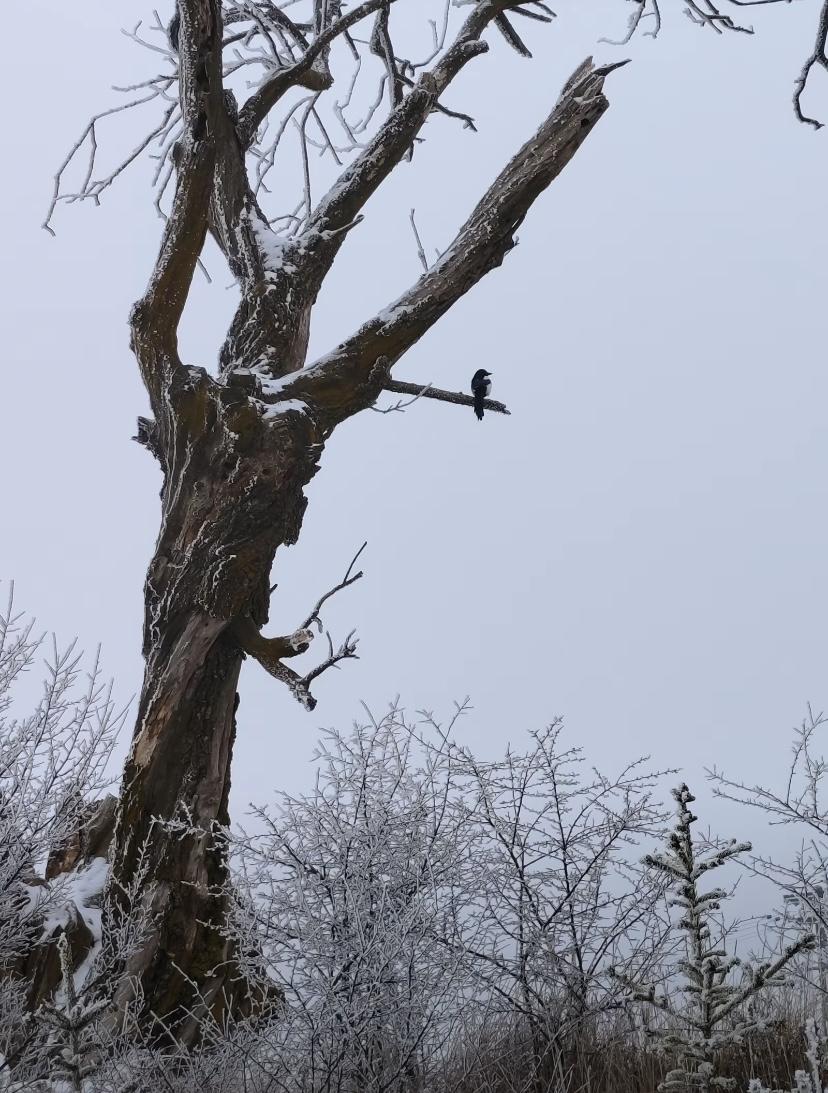 亲戚有钱和你有关系吗?我堂哥堂姐小时候总在我家吃饭，那时候我家的日子虽然不太好