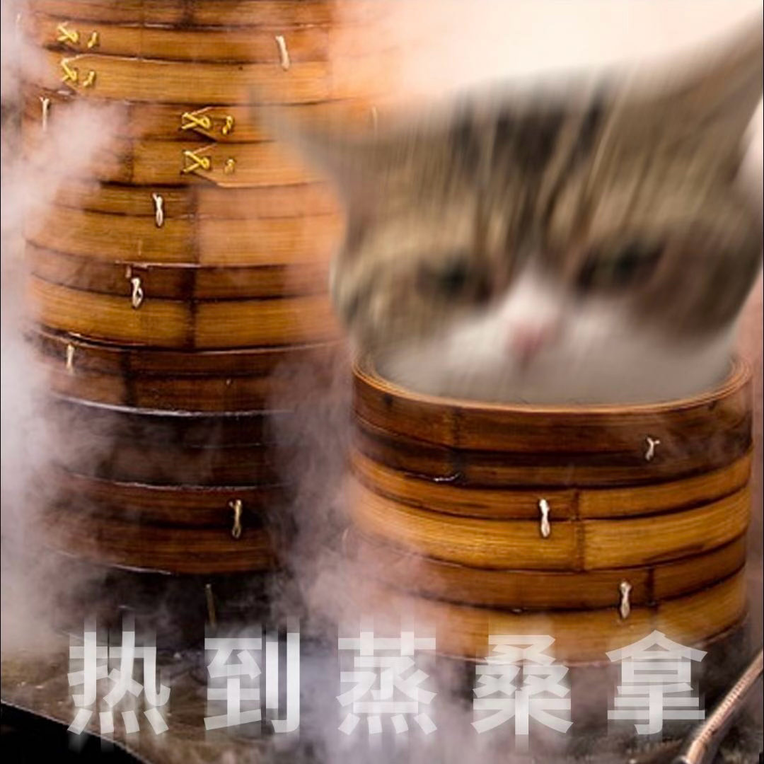 一进入高温就会人品消失别人夏日奶茶露营快乐不停，我的夏天只要离开冷气，满身汗黏浑