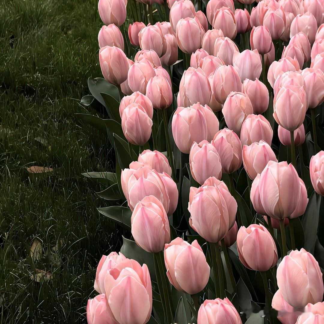 12星座「懒的最高境界」：白羊：懒得解释，爱咋咋地金牛：能躺着绝不坐着，能