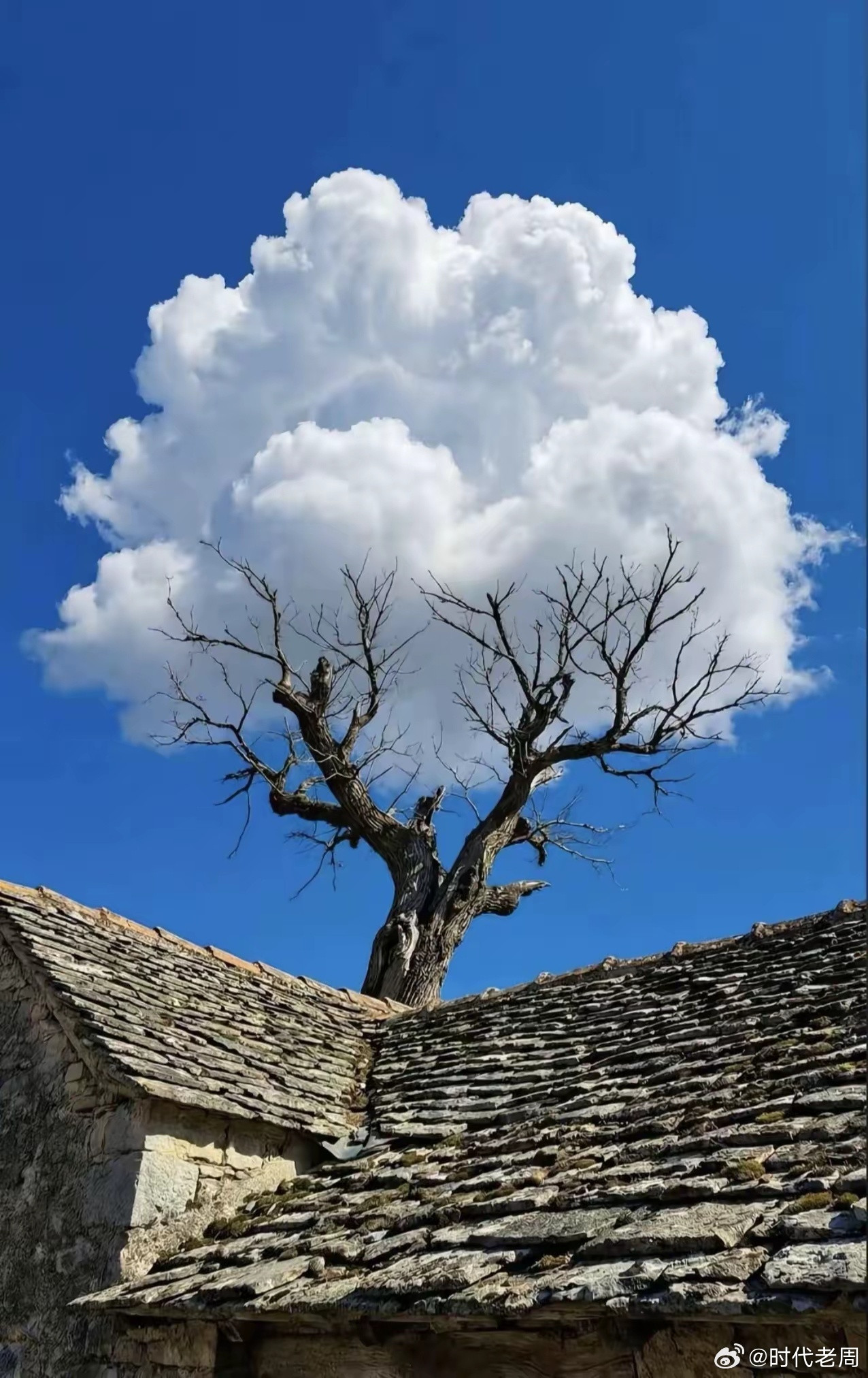 一天，记者问董宇辉：“张雪峰到底靠不靠谱？”董宇辉笑着说：“我不够资历随意评论