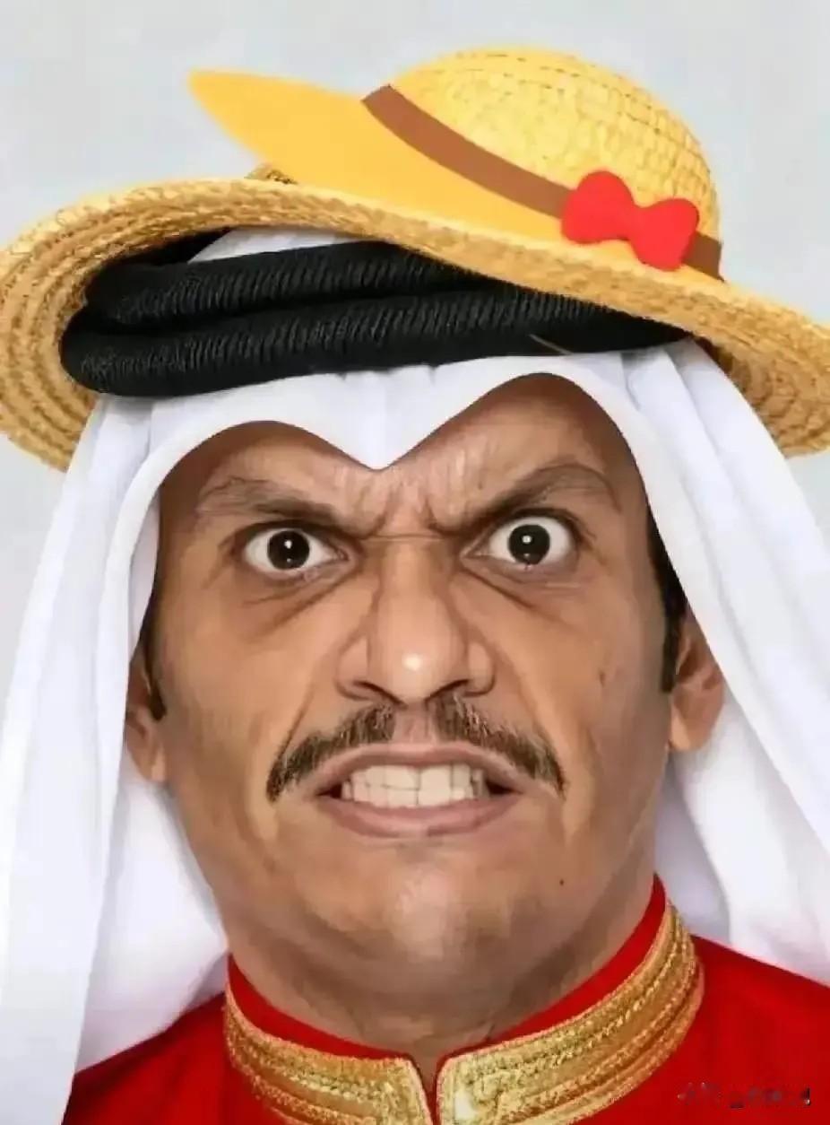 卡塔尔传来消息。4月28日，卡塔尔外交部发言人安萨里突然表态：坚决反对把霍尔木