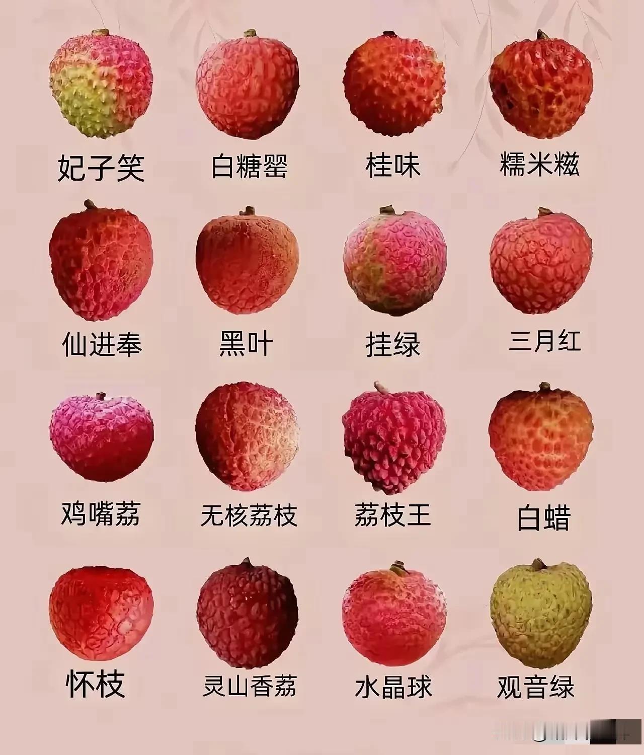 妈吖，居然小小的一个荔枝还有这么多品种，这么多叫法！真是见长识了！不过，在这么多