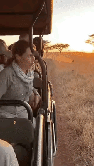 猎豹:不是你玩不起是不是[捂脸哭]