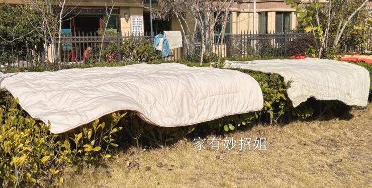 中国人见太阳就晒被子，为何外国人从不晒？原因有三点 阳光一出来，中国人就