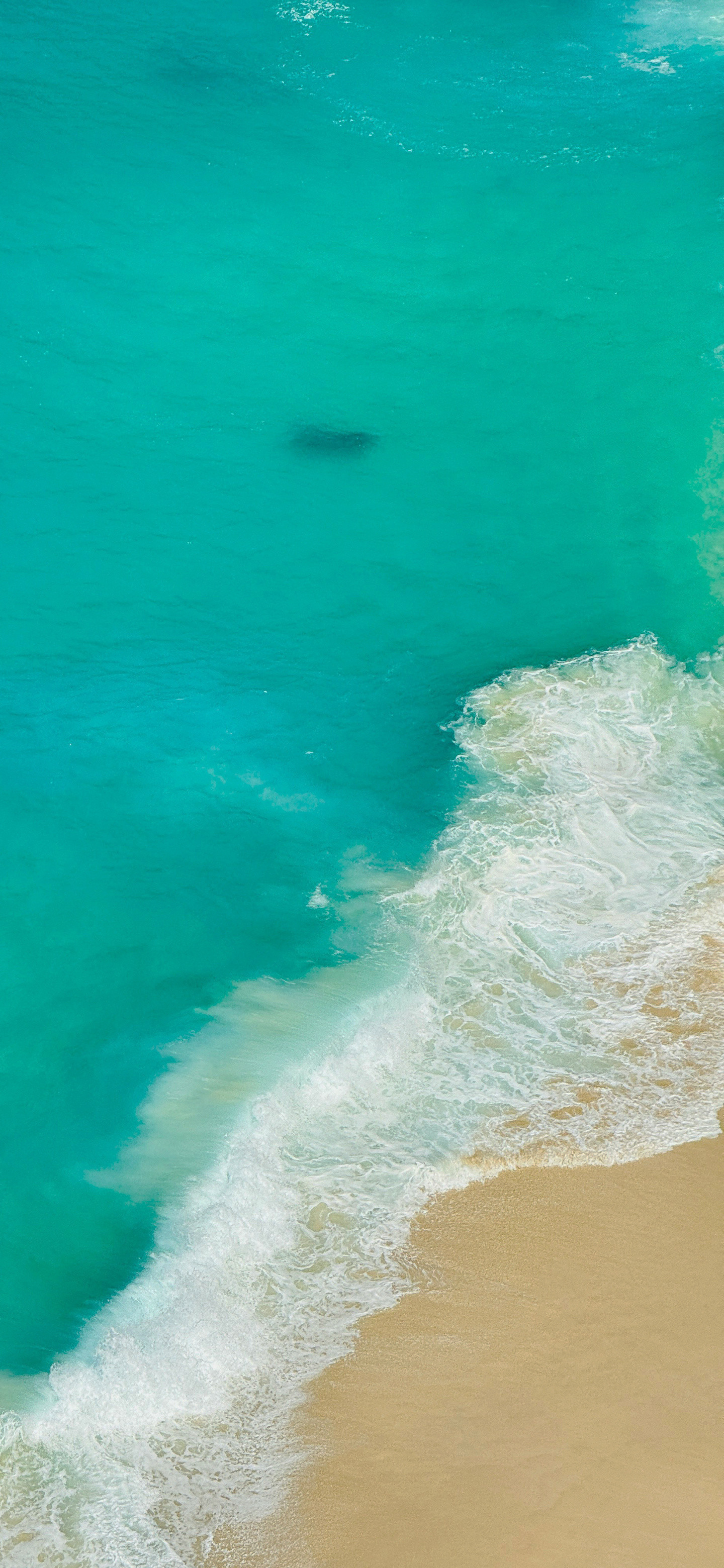 早！又是早起营业的一天。风景壁纸美好的一天从收到大家的赞开始