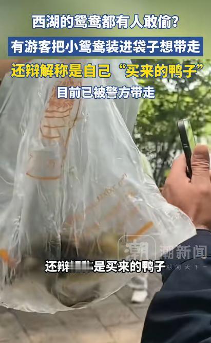 真是胆大包天！5月4日报道，杭州太子湾公园，一对中年夫妻在公园里闲逛时，忽然弯腰