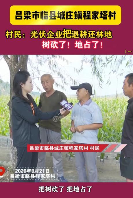 蹊跷！8月22日慧帮忙报道，山西吕梁，村民退耕还林的山头，树上的林木惨遭砍伐，土
