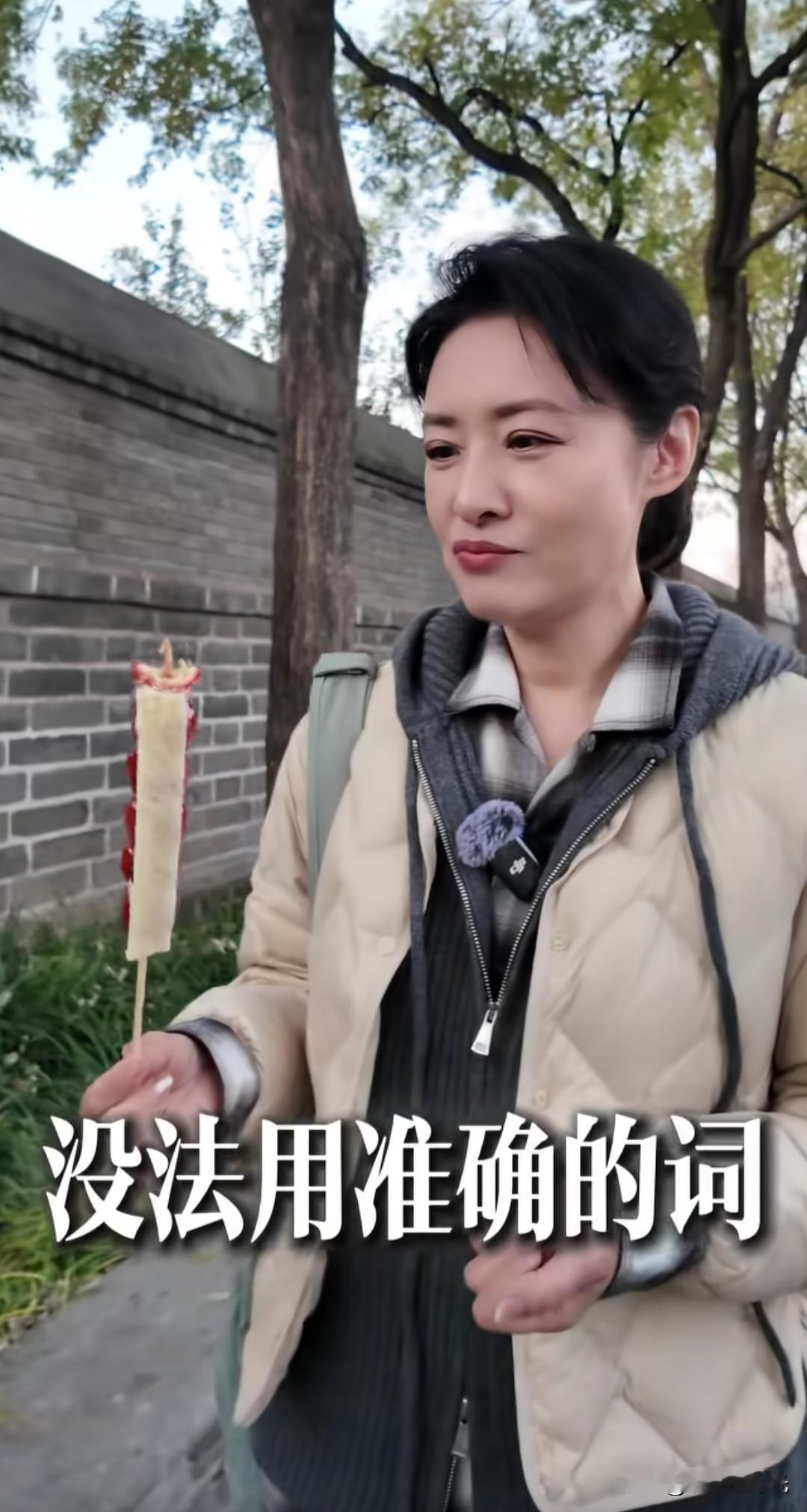 周涛20块钱买了一根糖葫芦，难吃到她一个央视主持人都词穷了。她听说最近一款糖