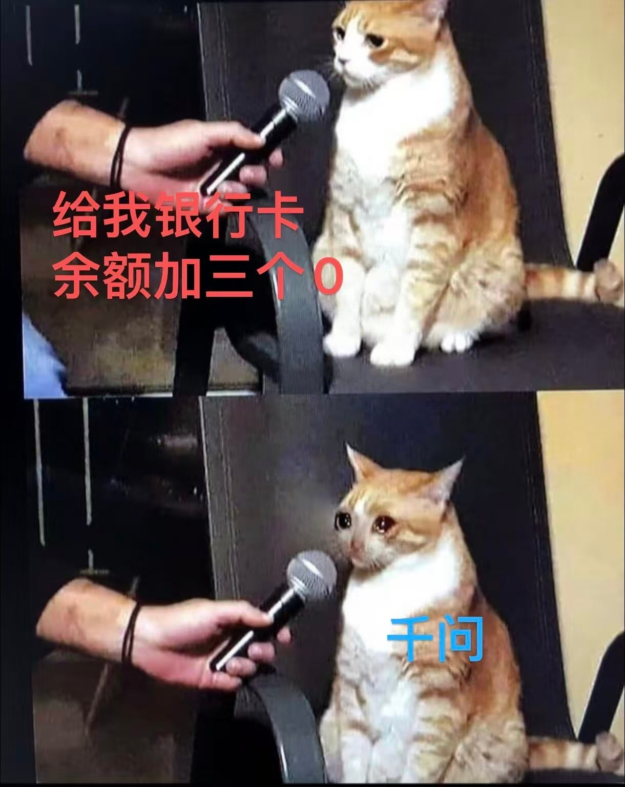 千问也是懂人情世故的这两天奶茶喝饱了，过年缺个对象回家来让千问想想办法，你别说这